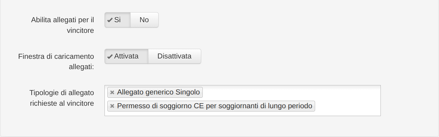 _images/3-allegati-vincitore.png